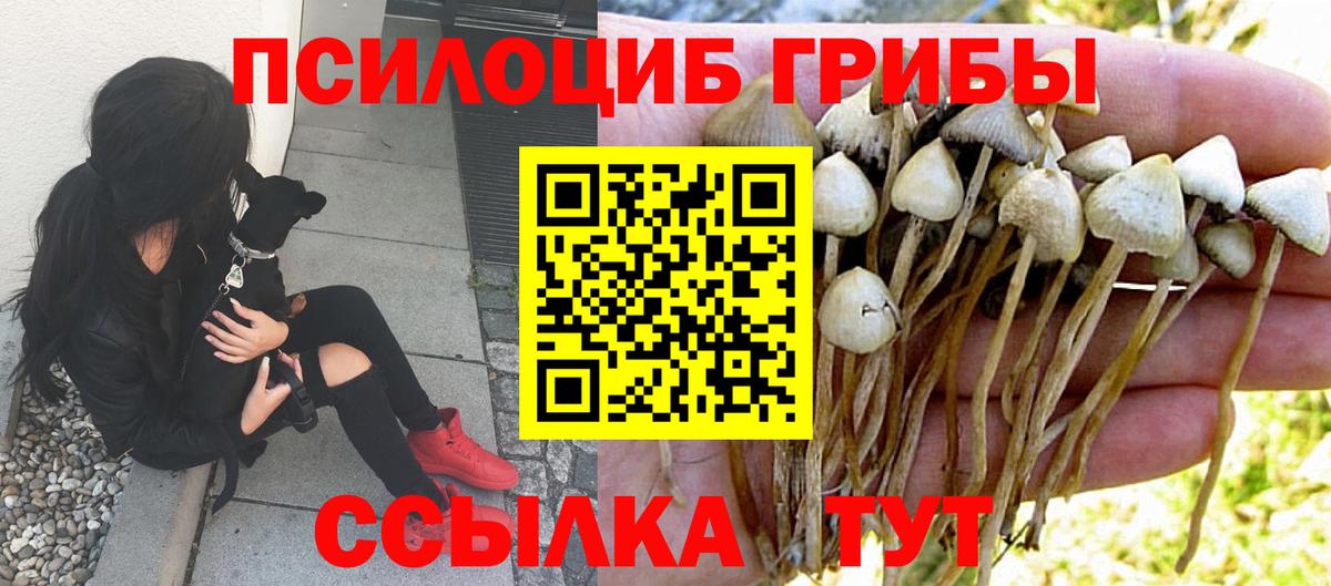 Галлюциногенные грибы Psilocybe  Вход с VPN  Псилоцибиновые грибы ЛСД  Каспийск 